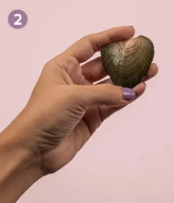 Step 2